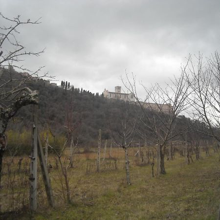 Camere Le Cascatelle Assisi Exterior photo