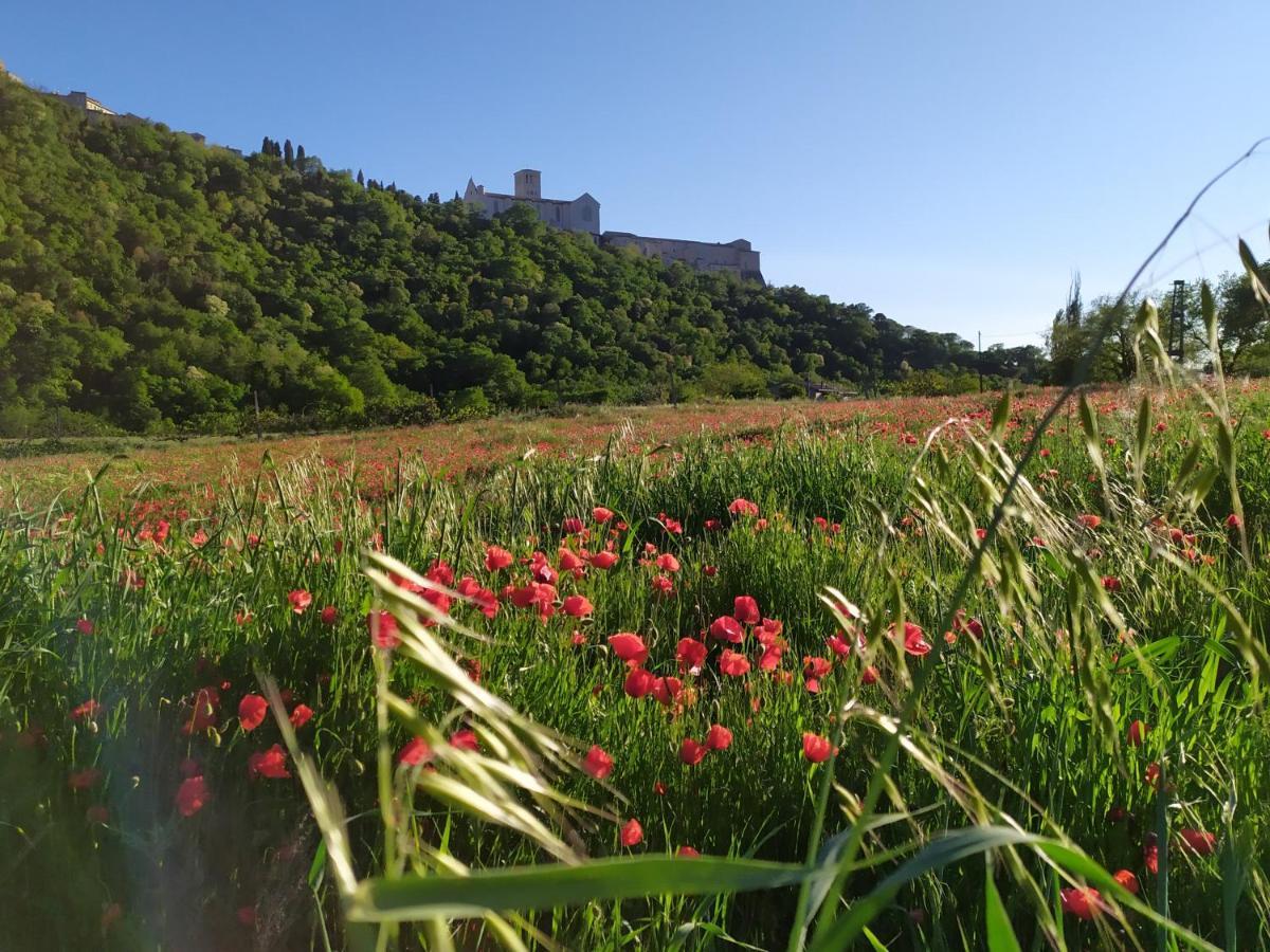 Camere Le Cascatelle Assisi Exterior photo
